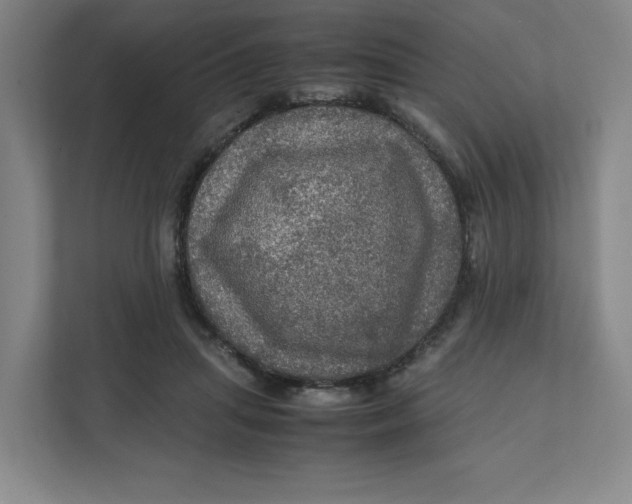 X0000111470455200908031403