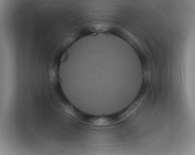 X0000111470460200908031403