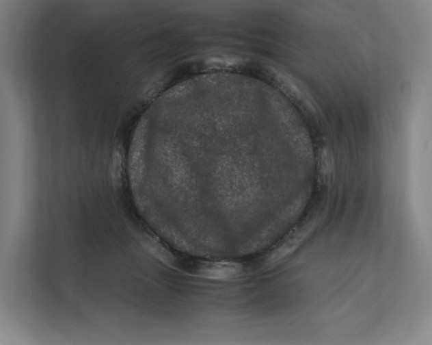 X0000111470463200908031403