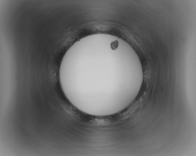 X0000111470464200908031403