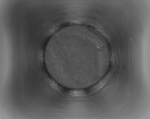 X0000111470466200908031403