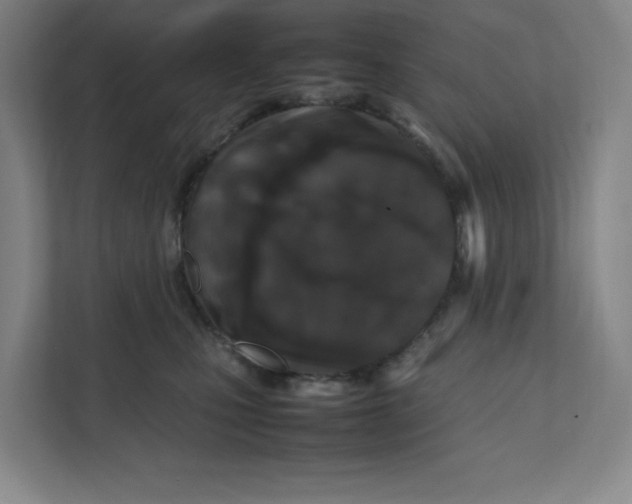 X0000111470471200908031404