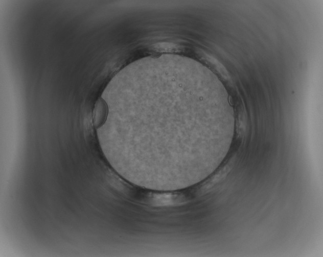 X0000111470473200908031404