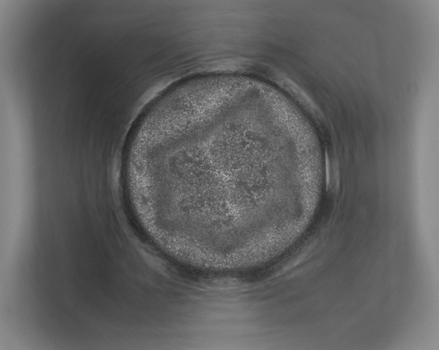 X0000111470483200908031403