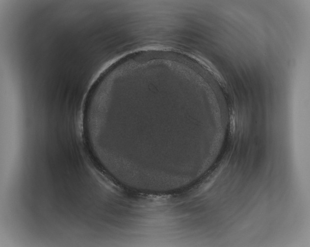 X0000111470484200908031403