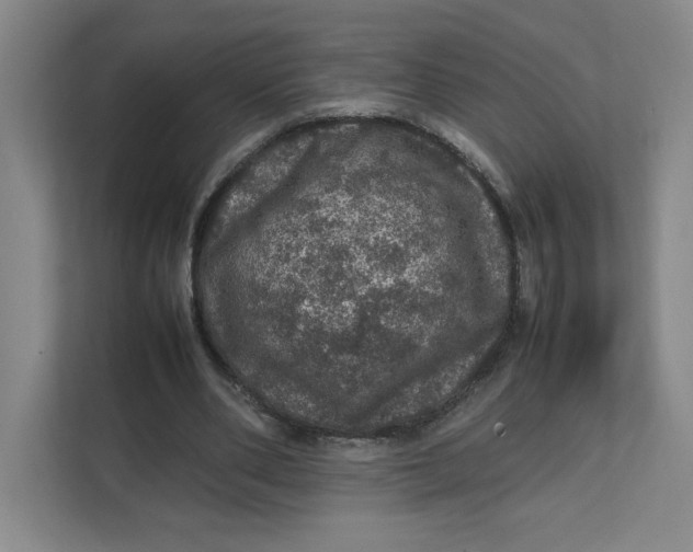 X0000111470486200908031403