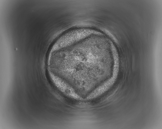 X0000111470487200908031403