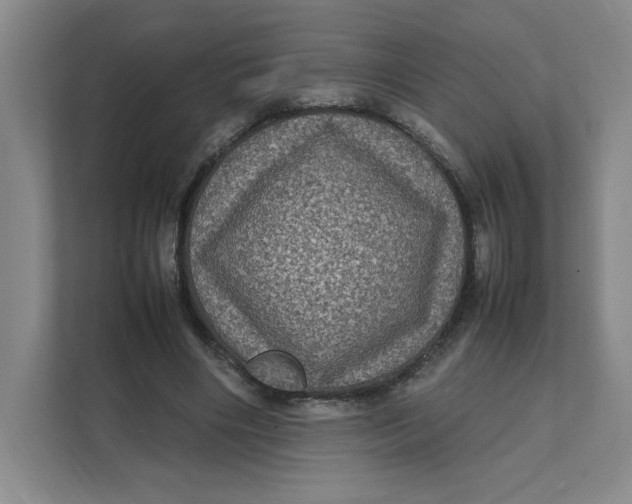 X0000111470490200908031403