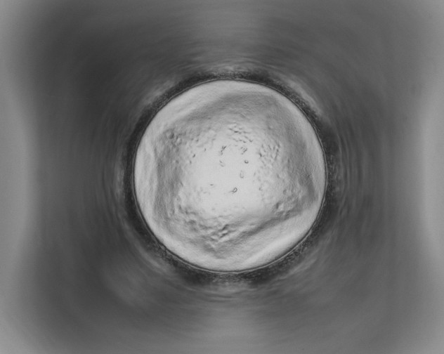 X0000111470491200908031403