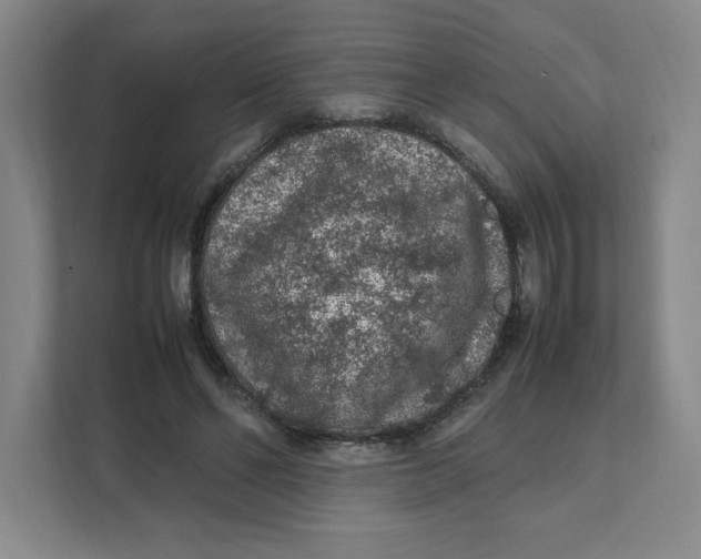 X0000111470494200908031403