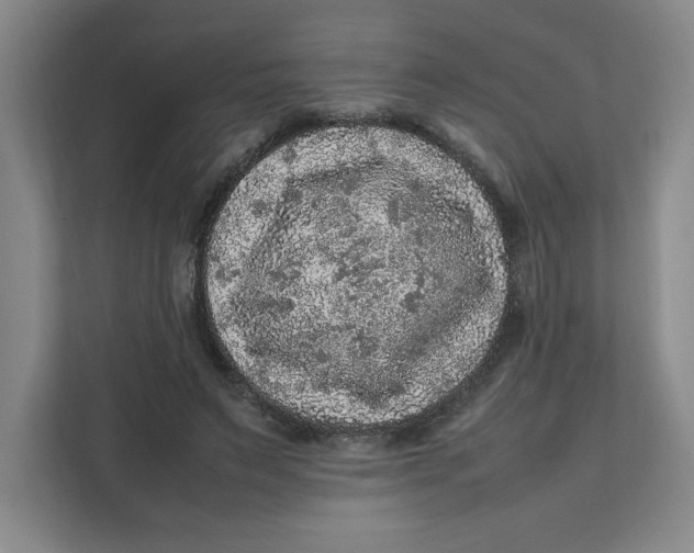 X0000111470495200908031403