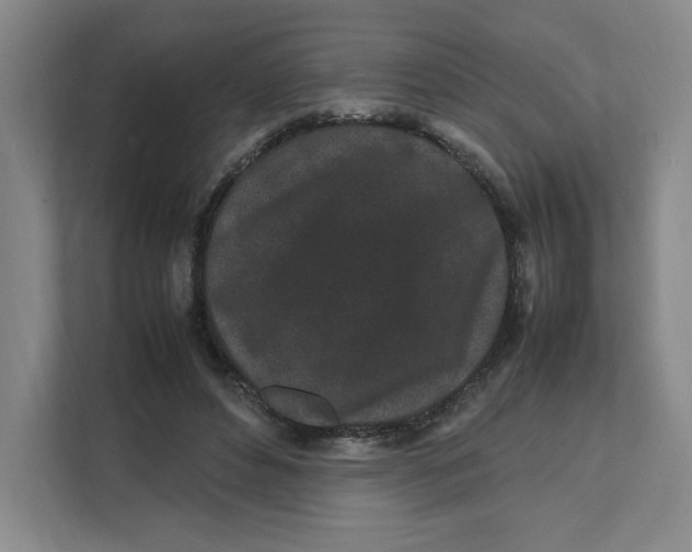 X0000111470496200908031403