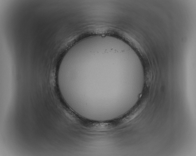 X0000111470497200908031403