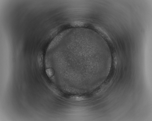 X0000111470498200908031403