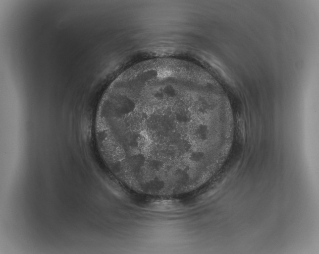 X0000111470499200908031403