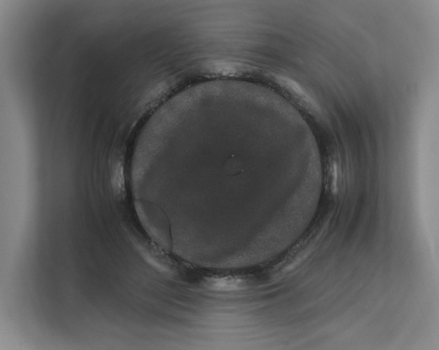 X0000111470500200908031403