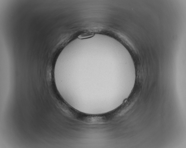 X0000111470501200908031403