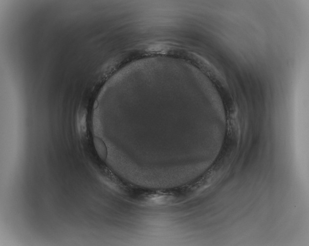 X0000111470504200908031403