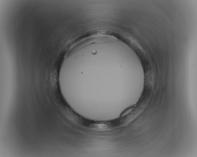 X0000111470509200908031403