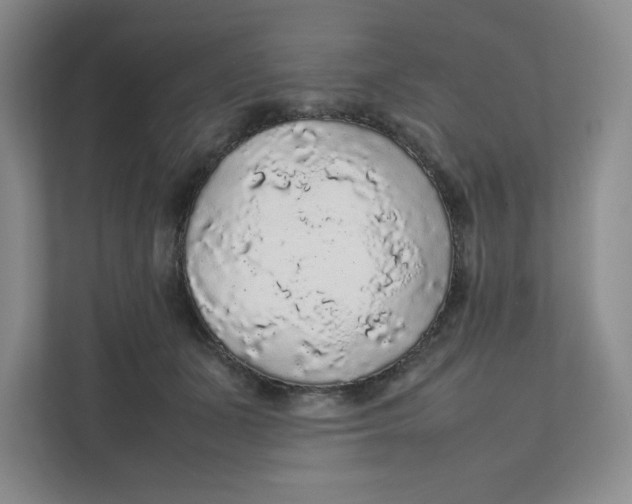 X0000111470511200908031403