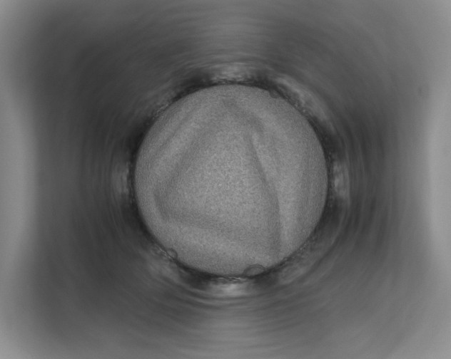 X0000111470514200908031403