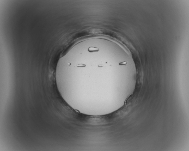 X0000111470521200908031402