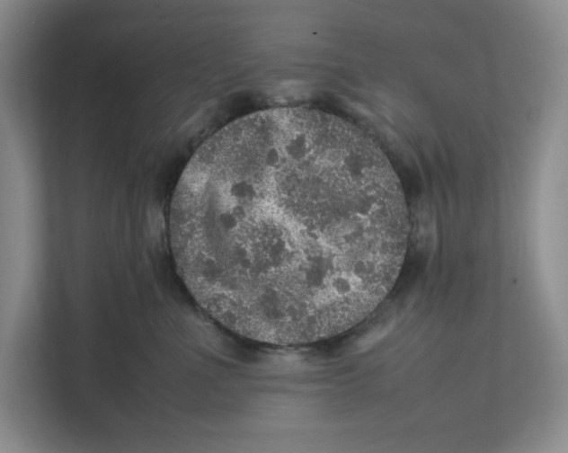 X0000111470523200908031402