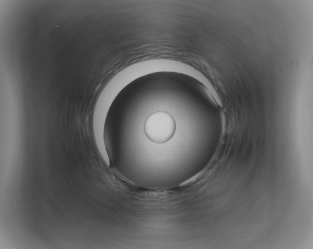 X0000111470524200908031402