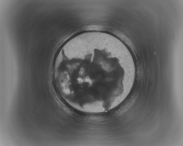 X0000111470529200908031402