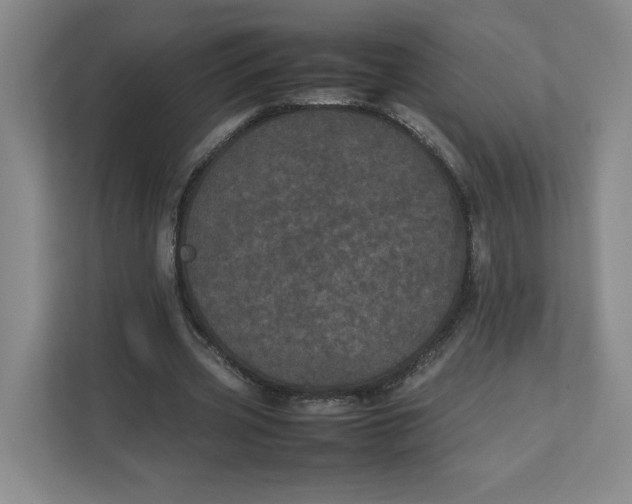 X0000111470533200908031402