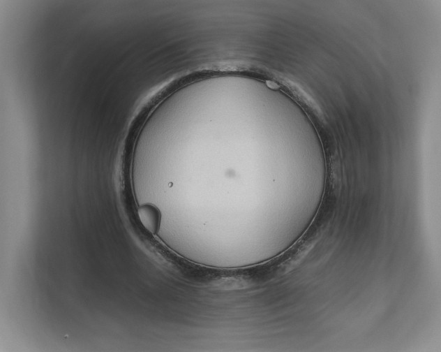 X0000111470536200908031402