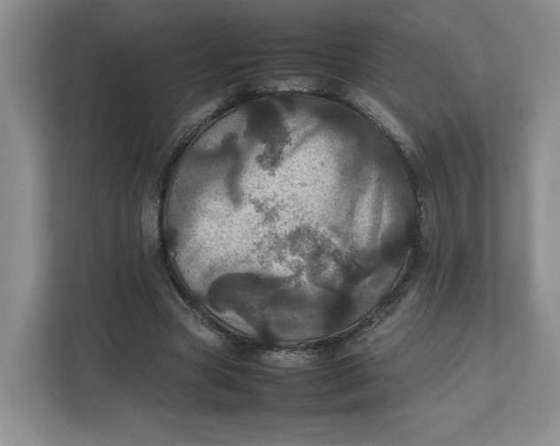 X0000111470537200908031402