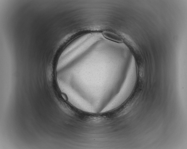 X0000111470540200908031402