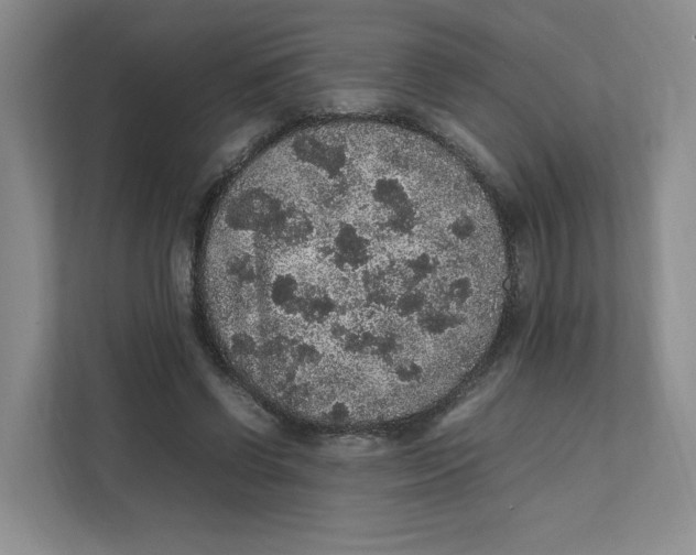 X0000111470542200908031402