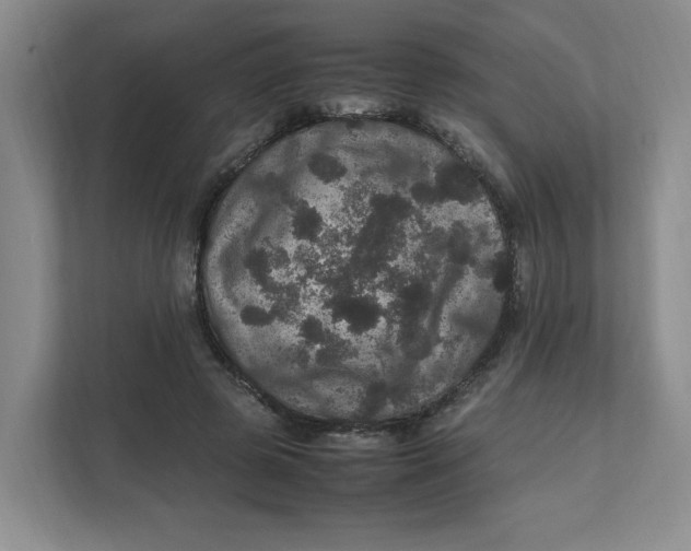 X0000111470545200908031402