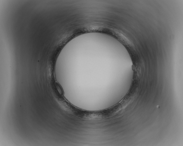 X0000111470546200908031402