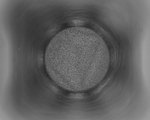 X0000111470553200908031402