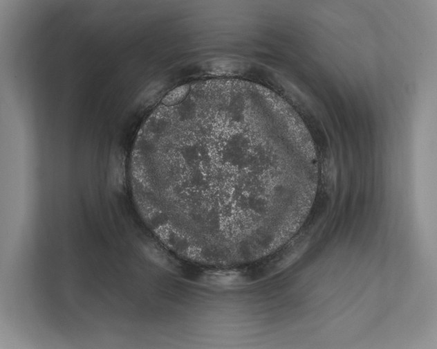 X0000111470554200908031402