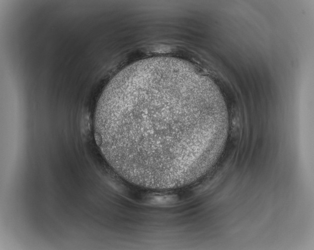 X0000111470555200908031402