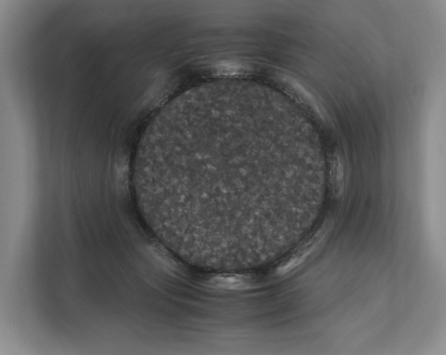 X0000111470557200908031402