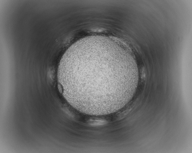 X0000111470559200908031402