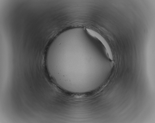 X0000111470560200908031402