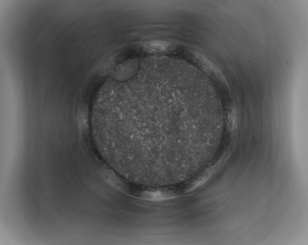 X0000111470561200908031402