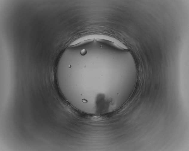 X0000111470562200908031402