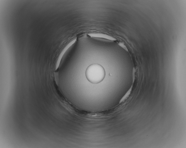 X0000111470564200908031402