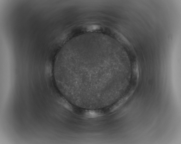 X0000111470565200908031402