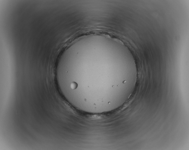 X0000111470566200908031402