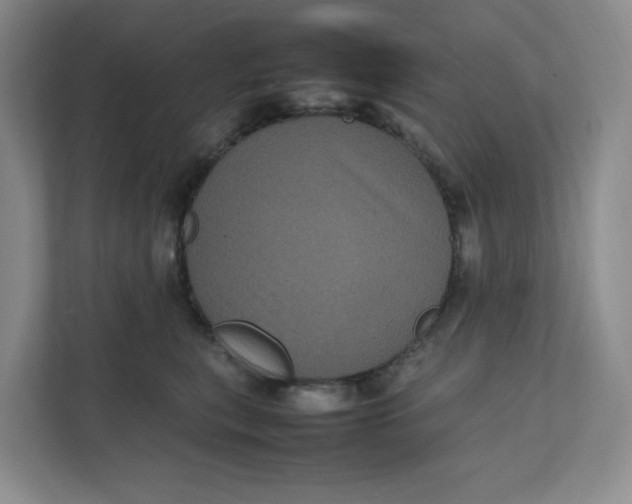 X0000111470567200908031402