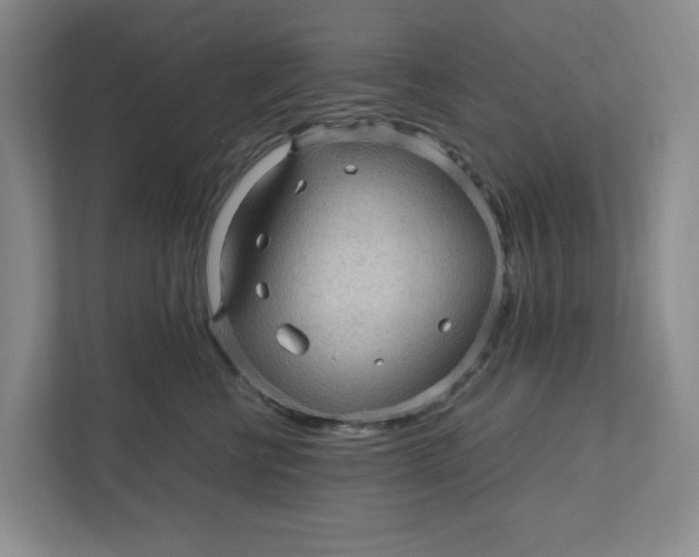 X0000111470570200908031402