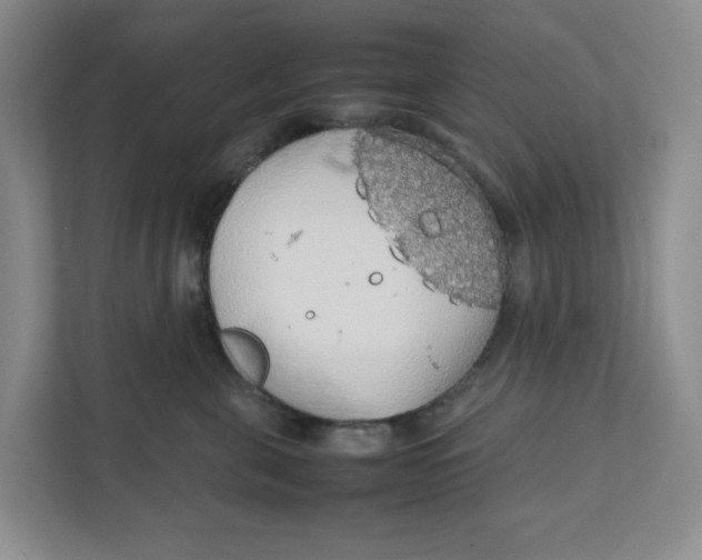 X0000111470571200908031402